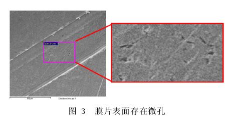 膜片表面存在微孔
