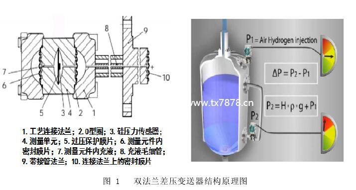 雙法蘭差壓變送器結(jié)構(gòu)原理圖