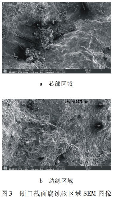 斷口截面腐蝕物區(qū)域 SEM 圖像